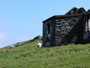 Sheep graze at entrance to Br�d Keane's house, Great Blasket Island